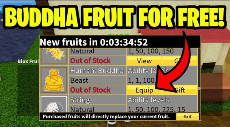 best build setup for buddha users